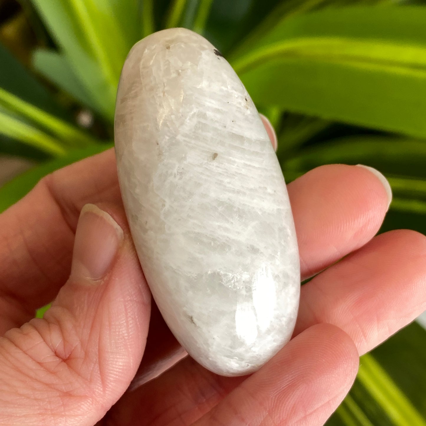 Moonstone Palm stone