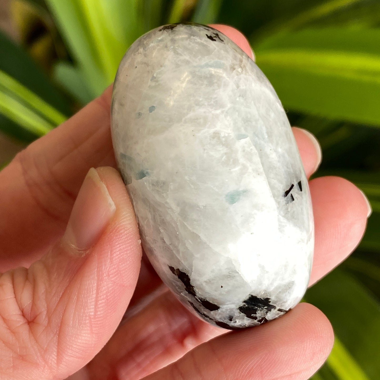 Moonstone Palm stone