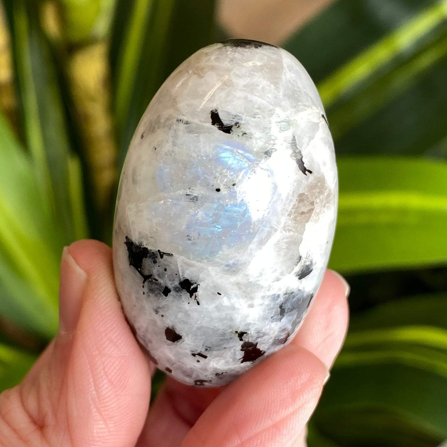 Moonstone Palm stone