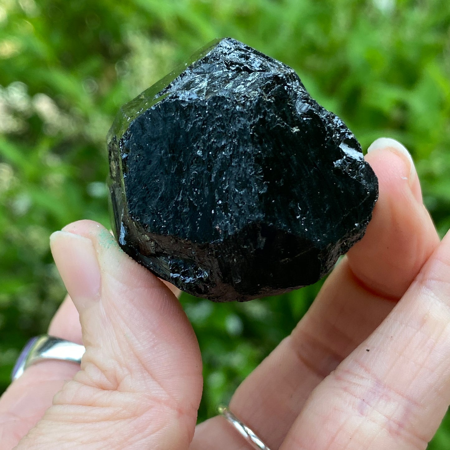 Black Tourmaline, Terminated