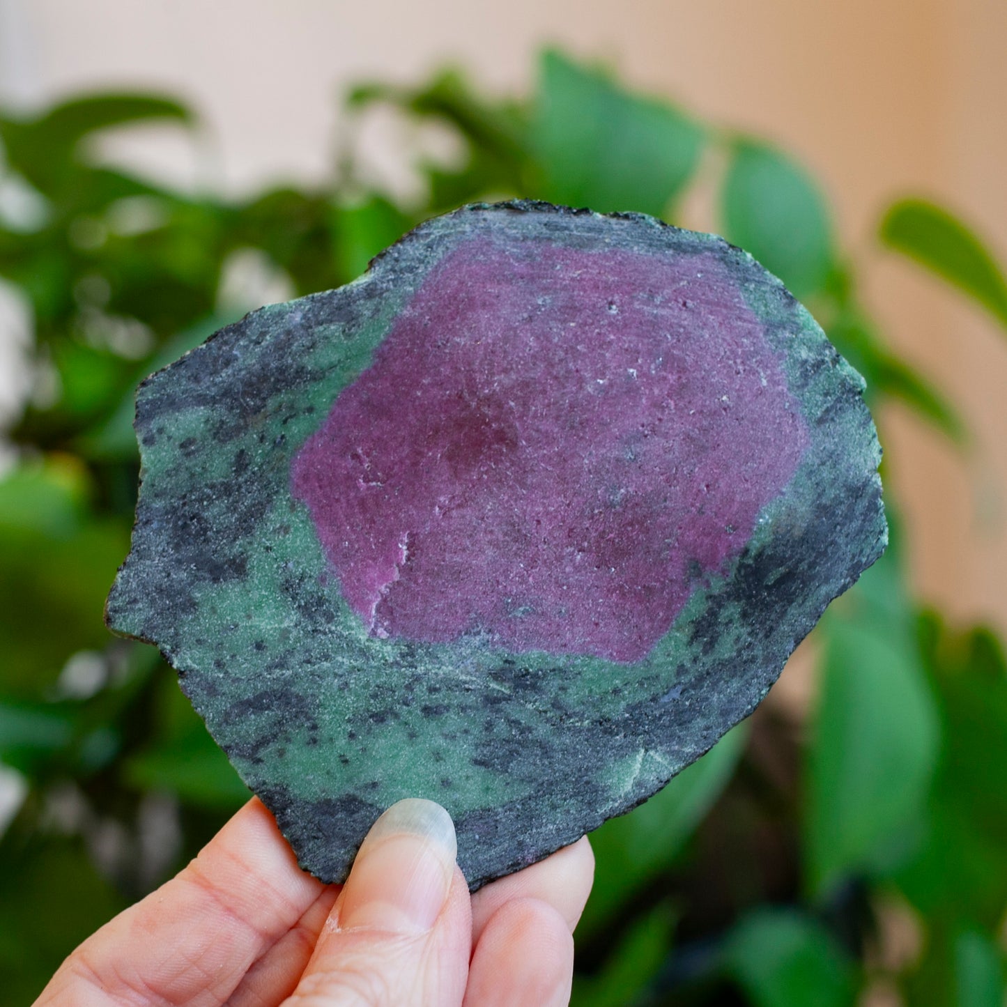 Ruby Zoisite Slab with Complete Ruby