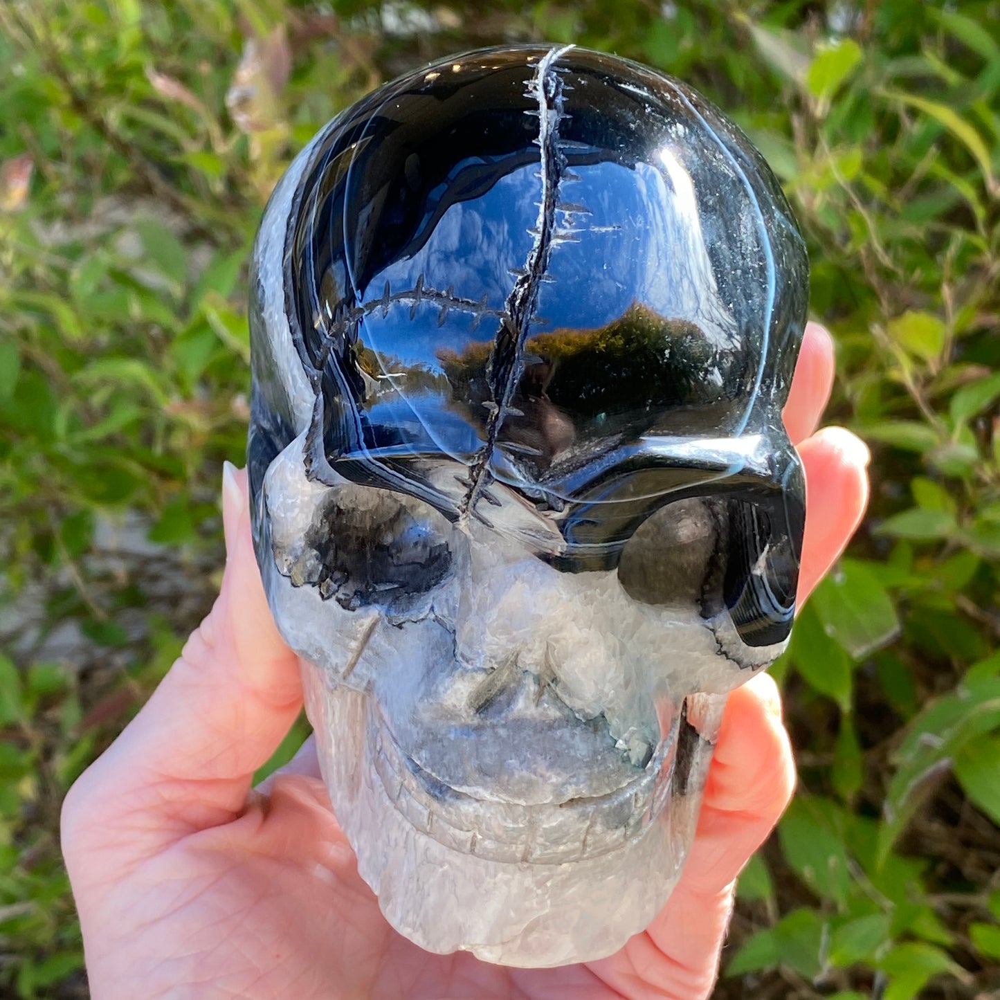 Sardonyx Skull