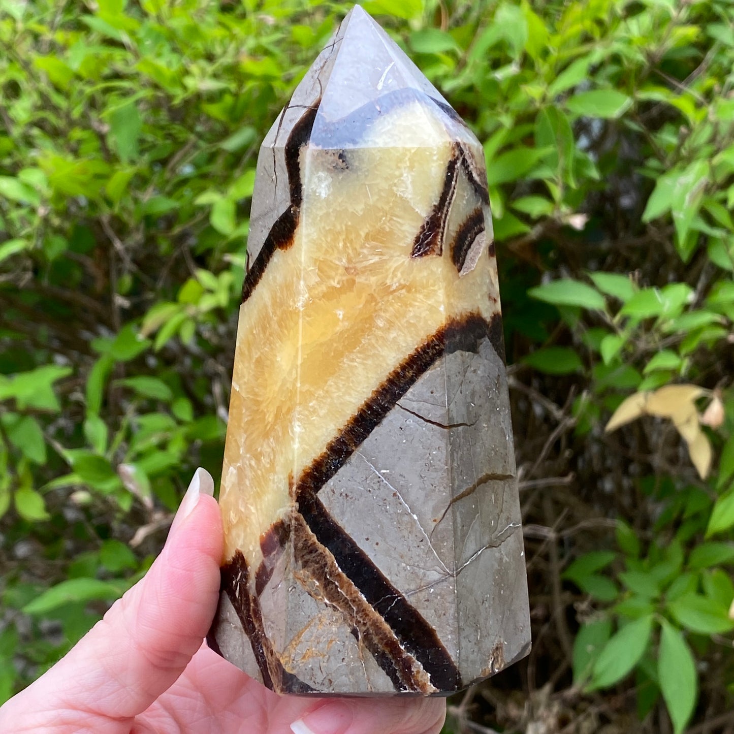 Septarian Tower