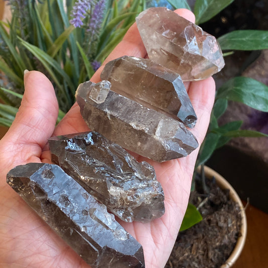 Smoky Quartz Crystal, Raw, Double Terminated