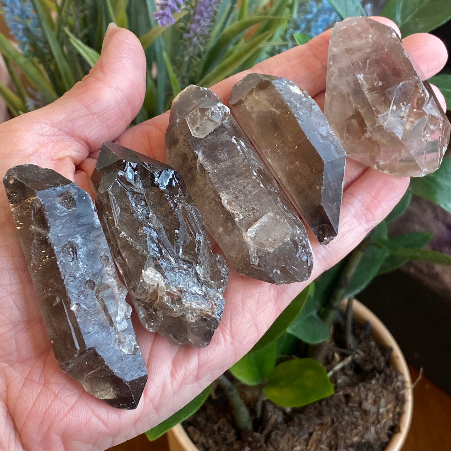 Smoky Quartz Crystal, Raw, Double Terminated