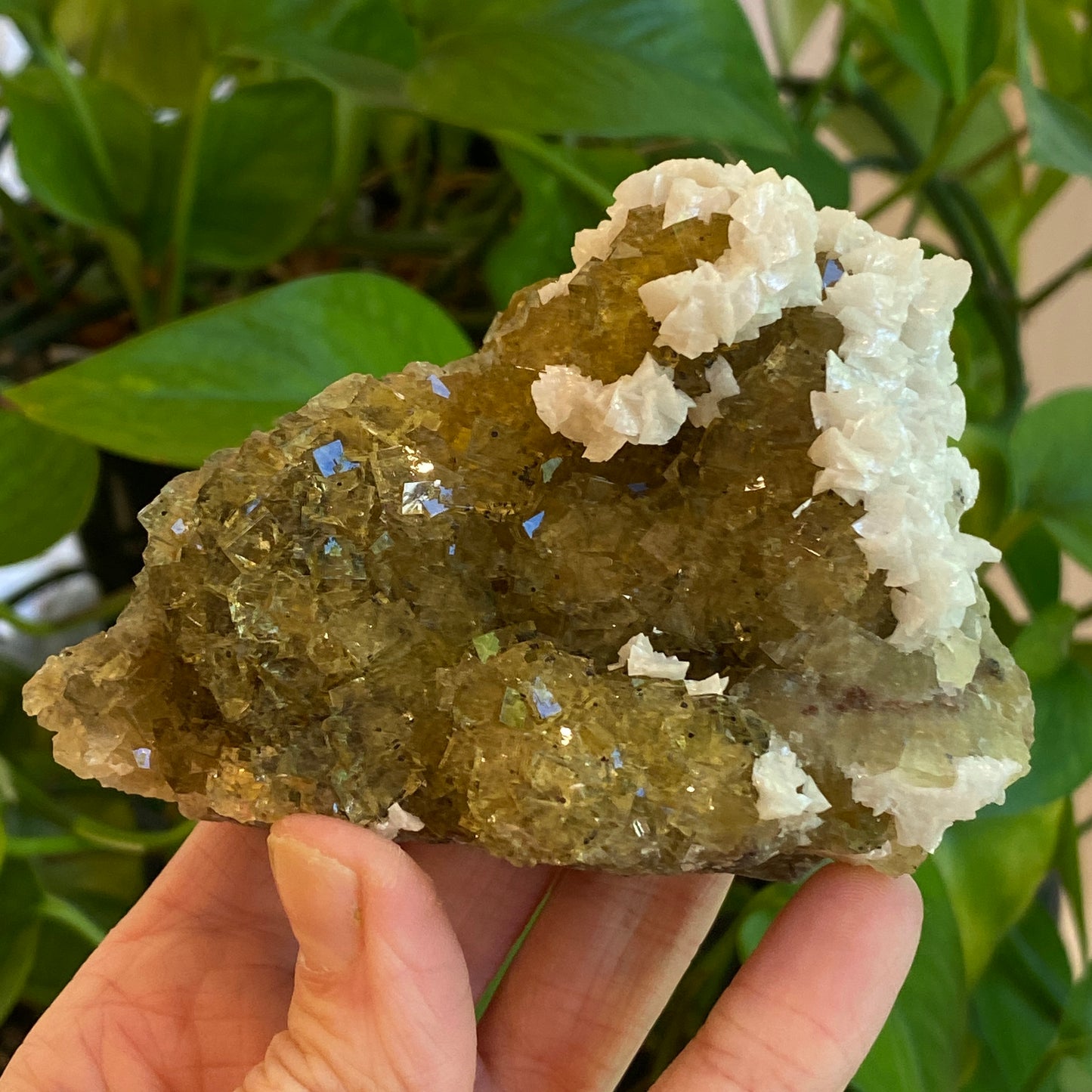 Yellow Fluorite, Spain