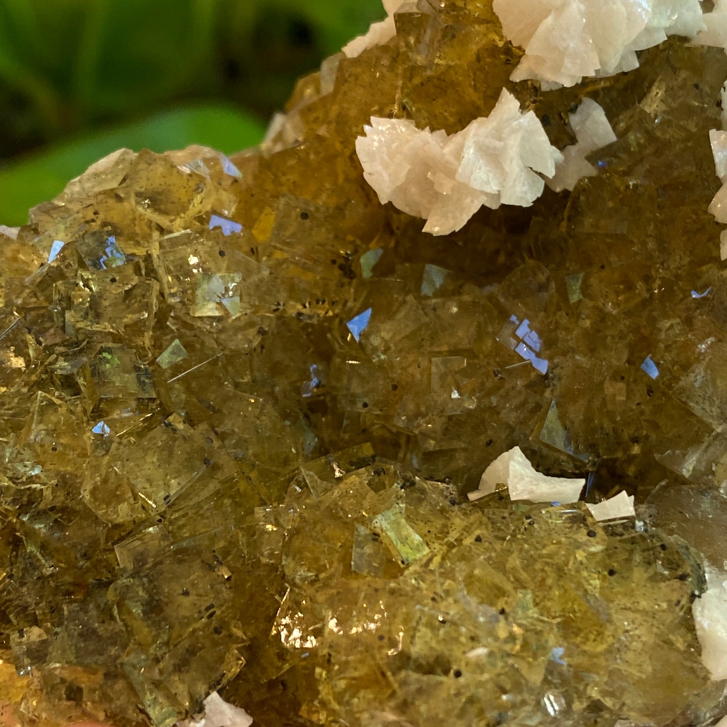 Yellow Fluorite, Spain