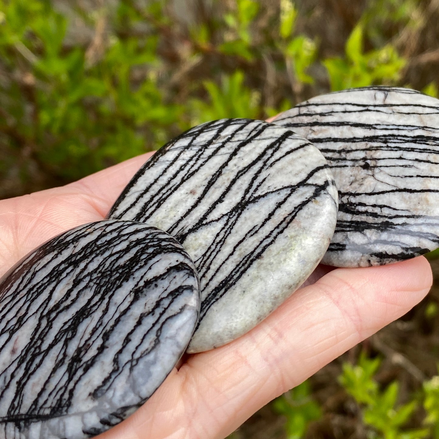 Spiderweb Jasper Worry Stone