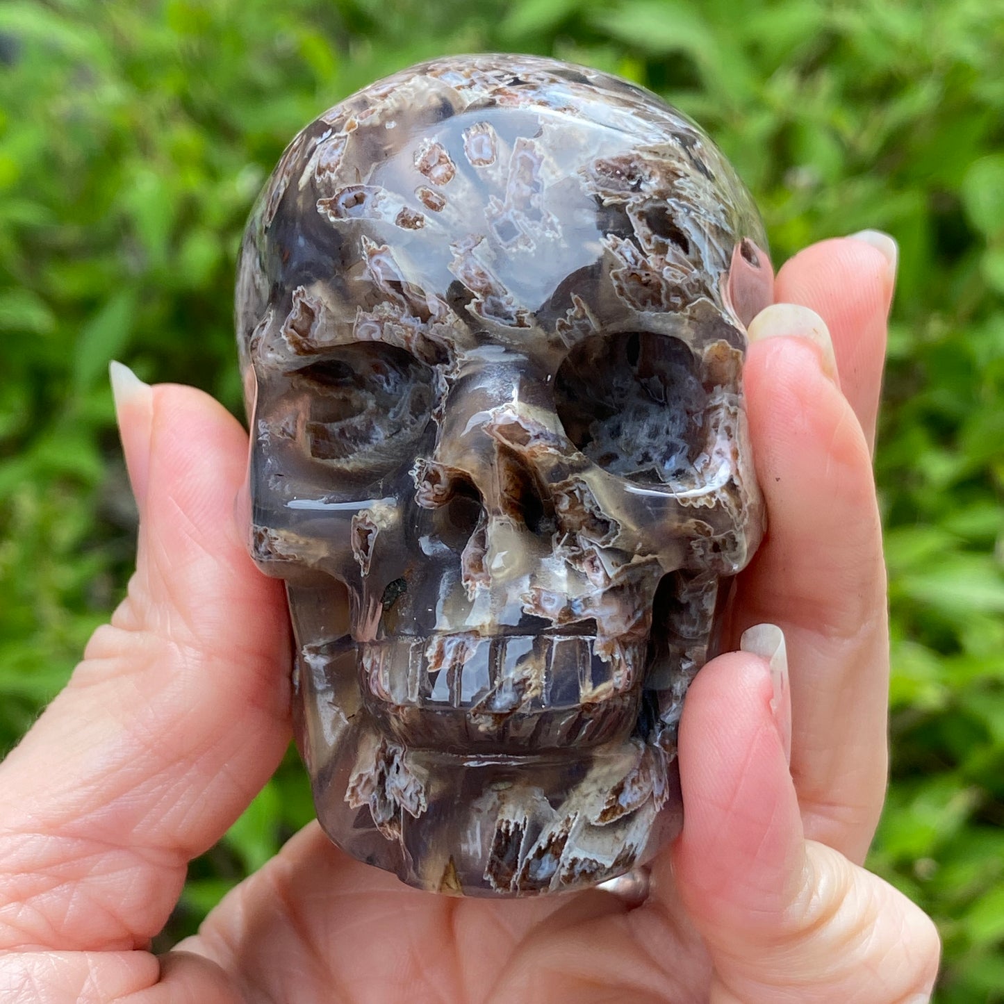 Turkish Stick Agate Skull, 3.2in