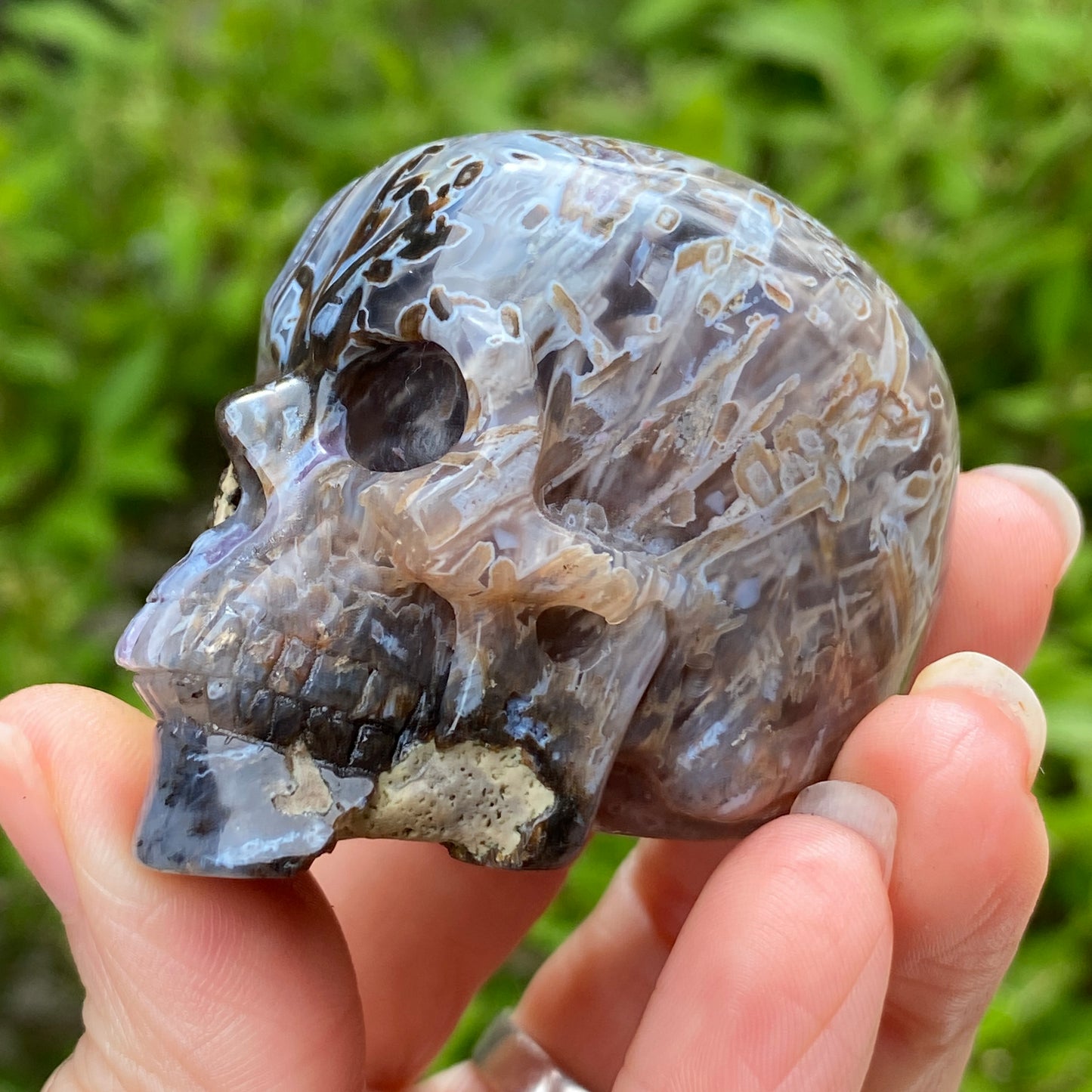 Turkish Stick Agate Skull, 2.1in