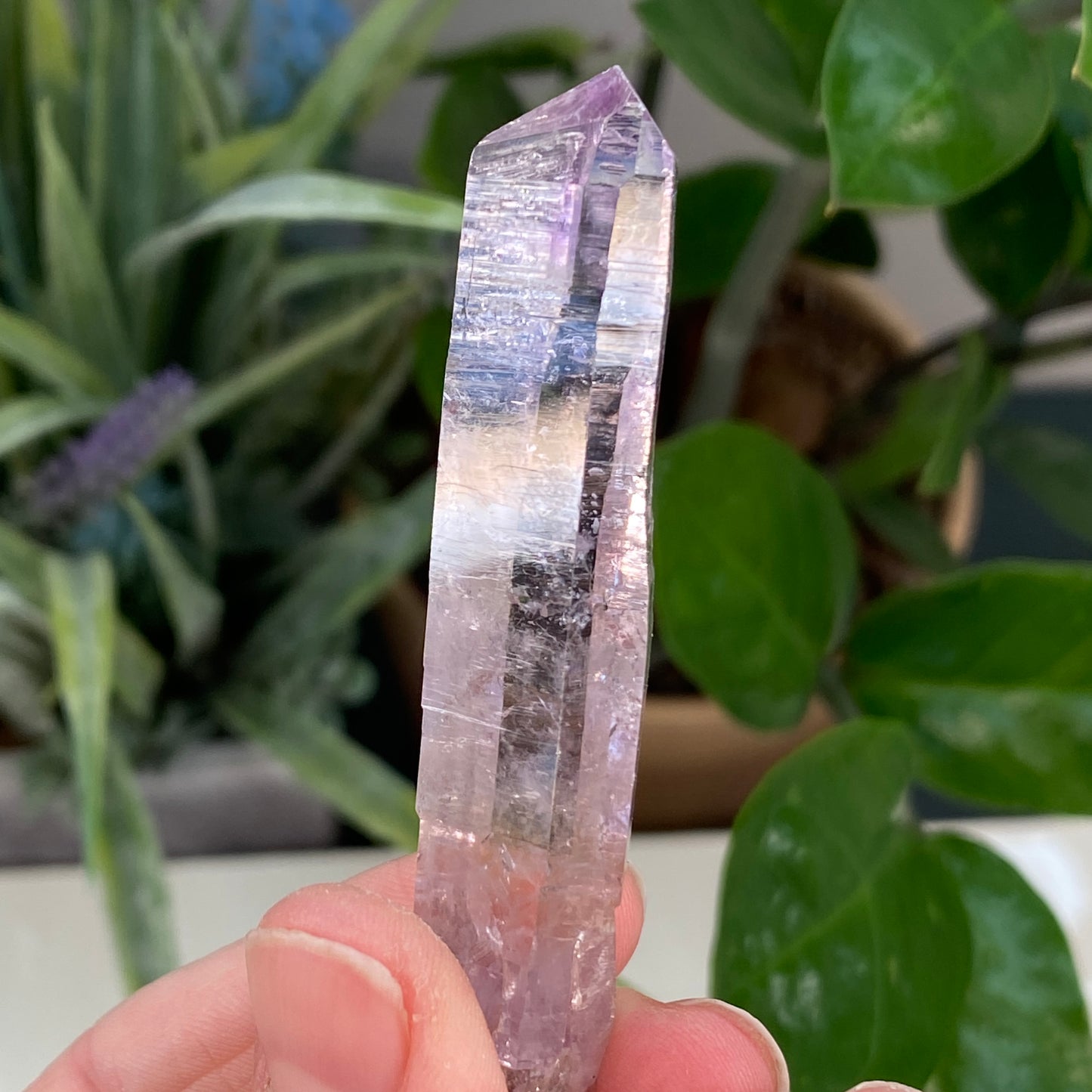Vera Cruz Amethyst