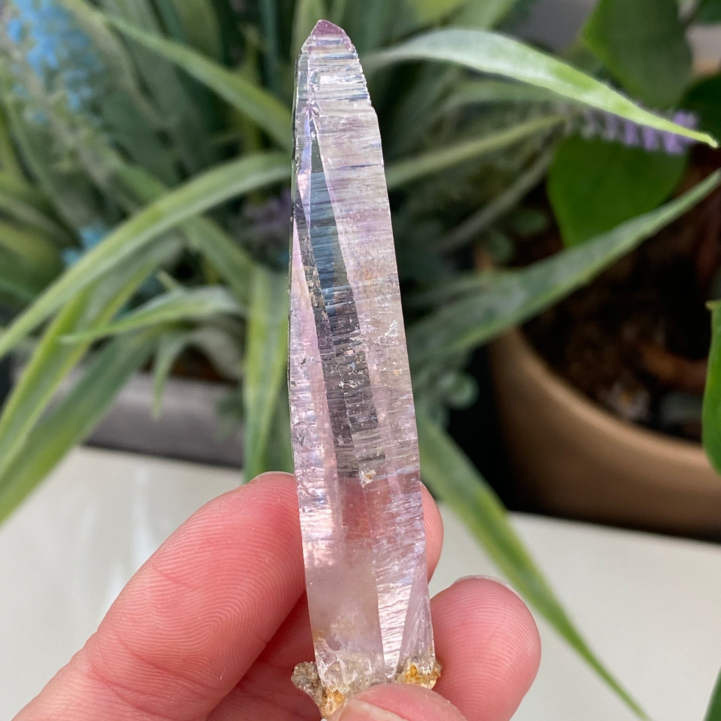 Vera Cruz Amethyst
