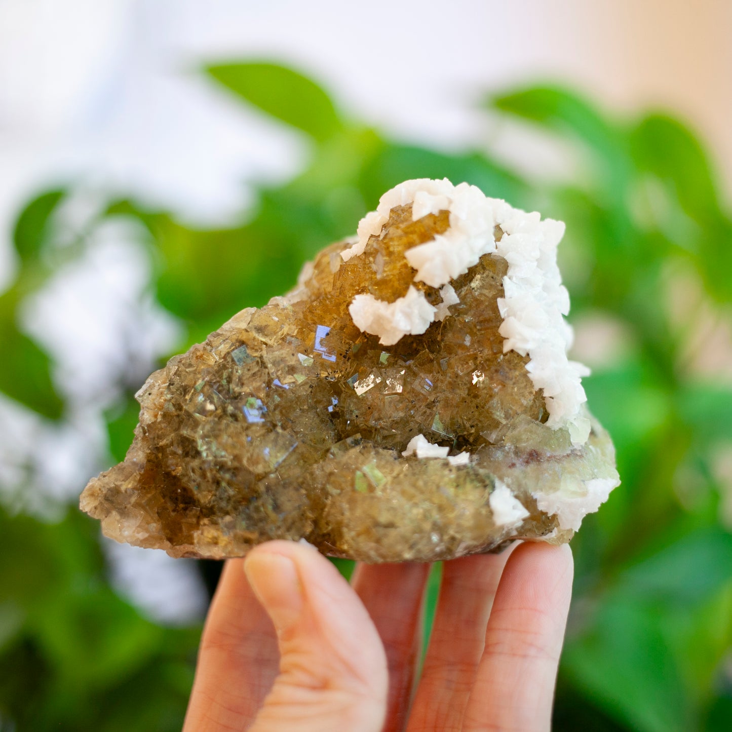 Yellow Fluorite, Spain