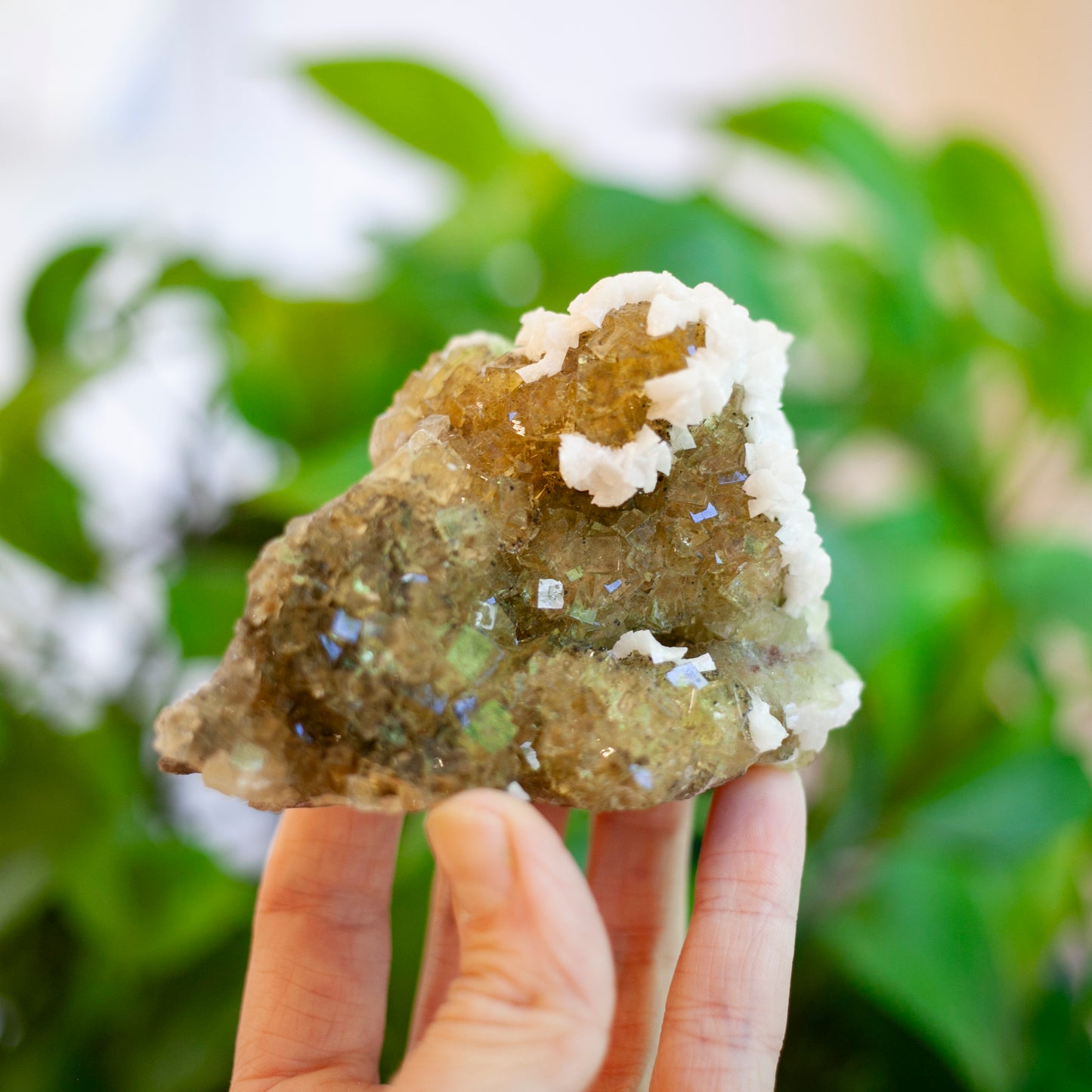 Yellow Fluorite, Spain