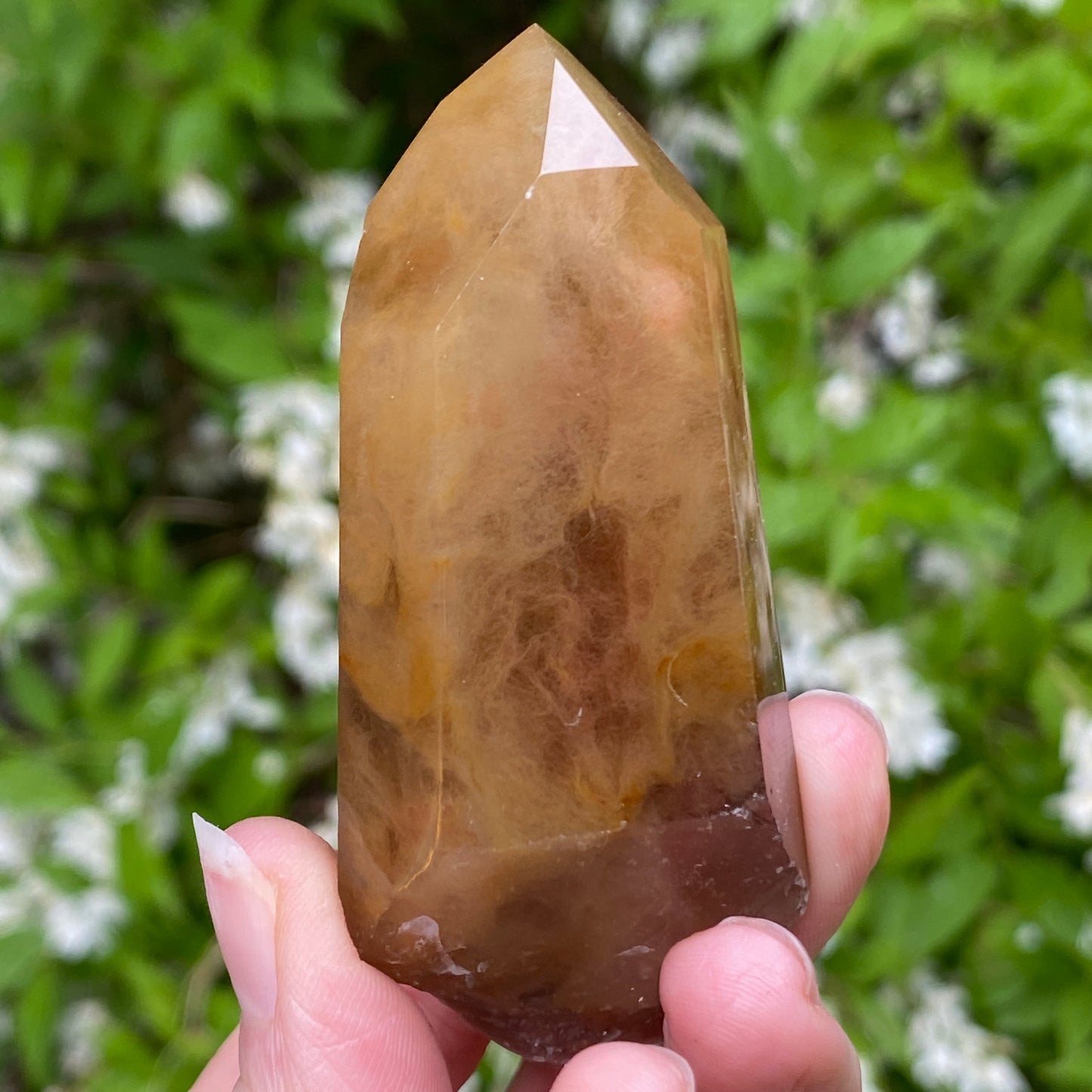 Amphibole Quartz Point