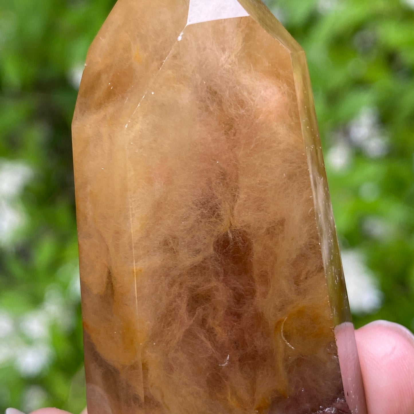 Amphibole Quartz Point