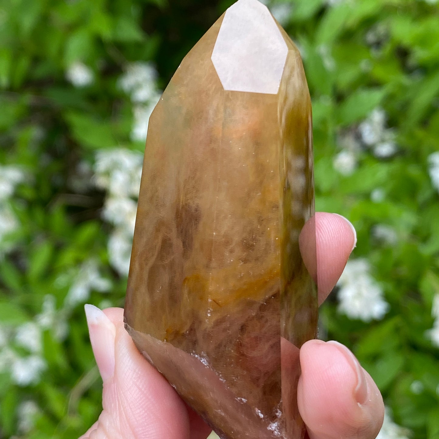 Amphibole Quartz Point