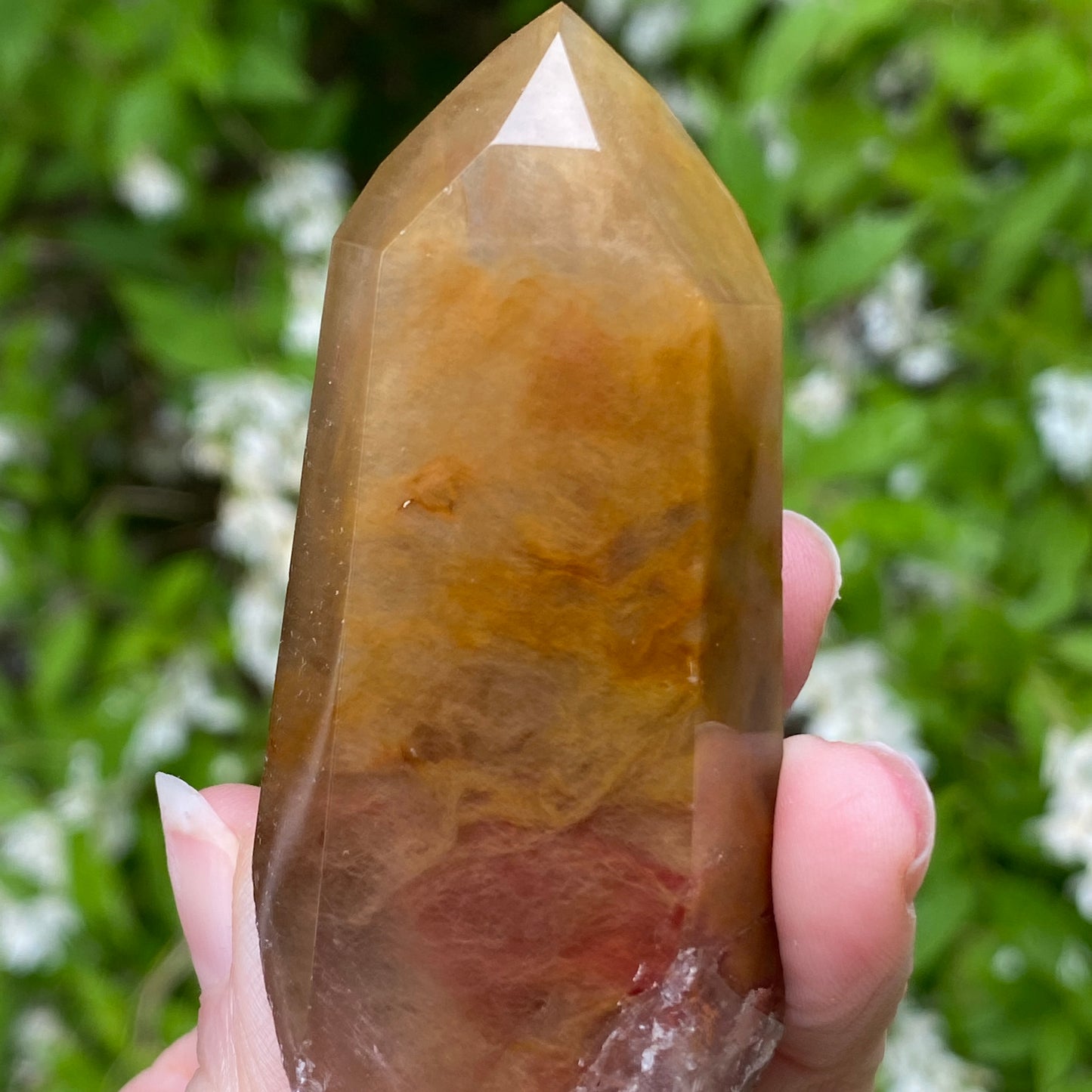 Amphibole Quartz Point