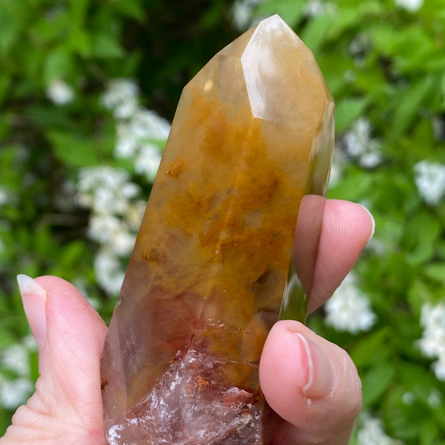 Amphibole Quartz Point