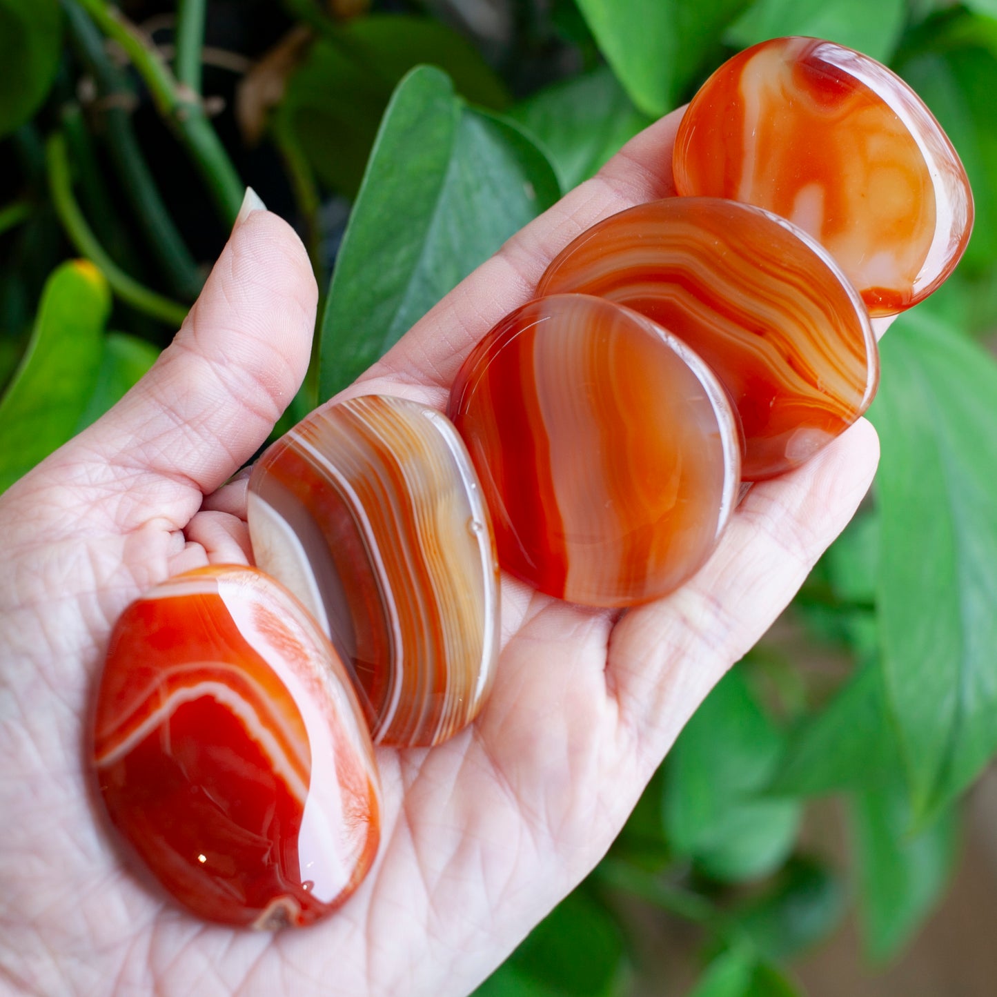 Carnelian Worry Stone