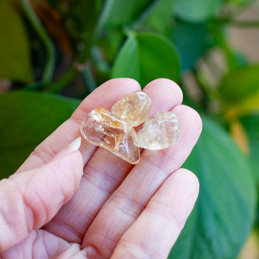 Golden Scapolite Stones, 3 Pieces