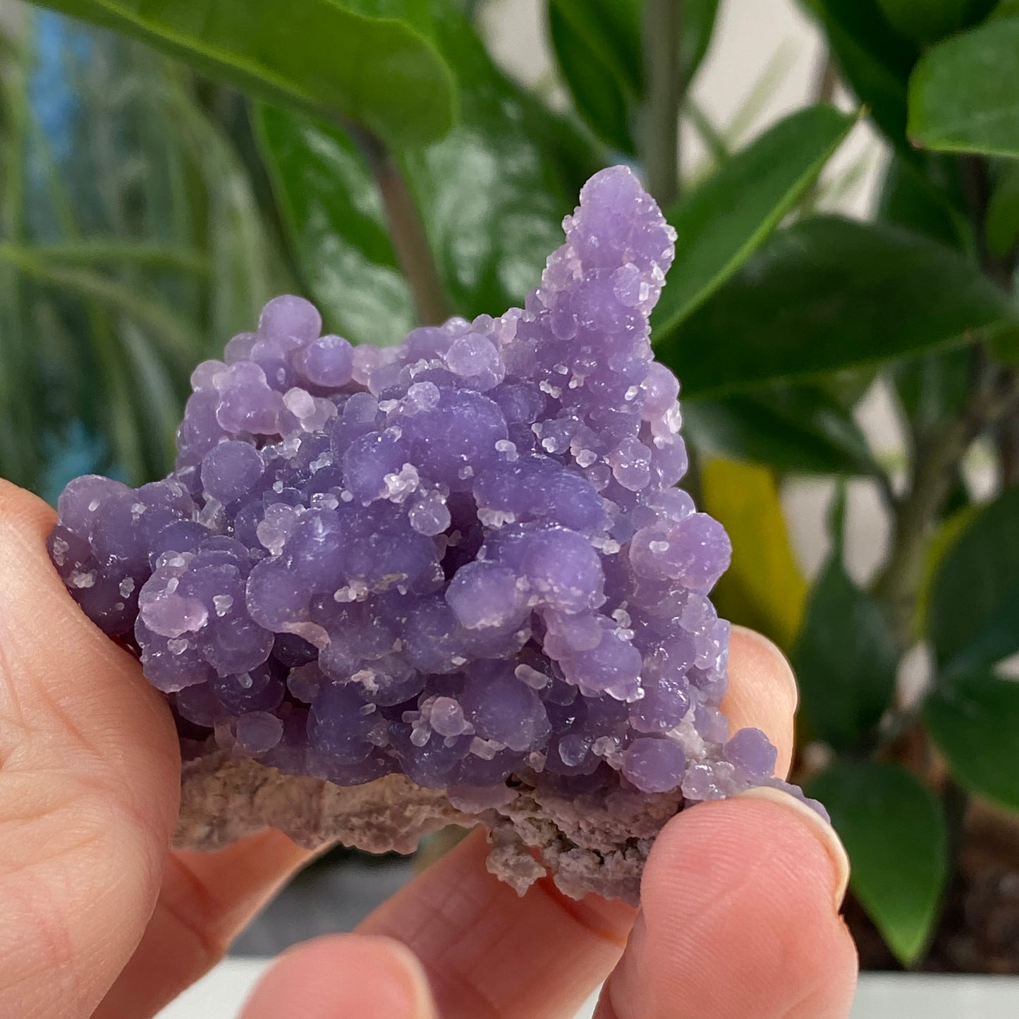 Grape Agate