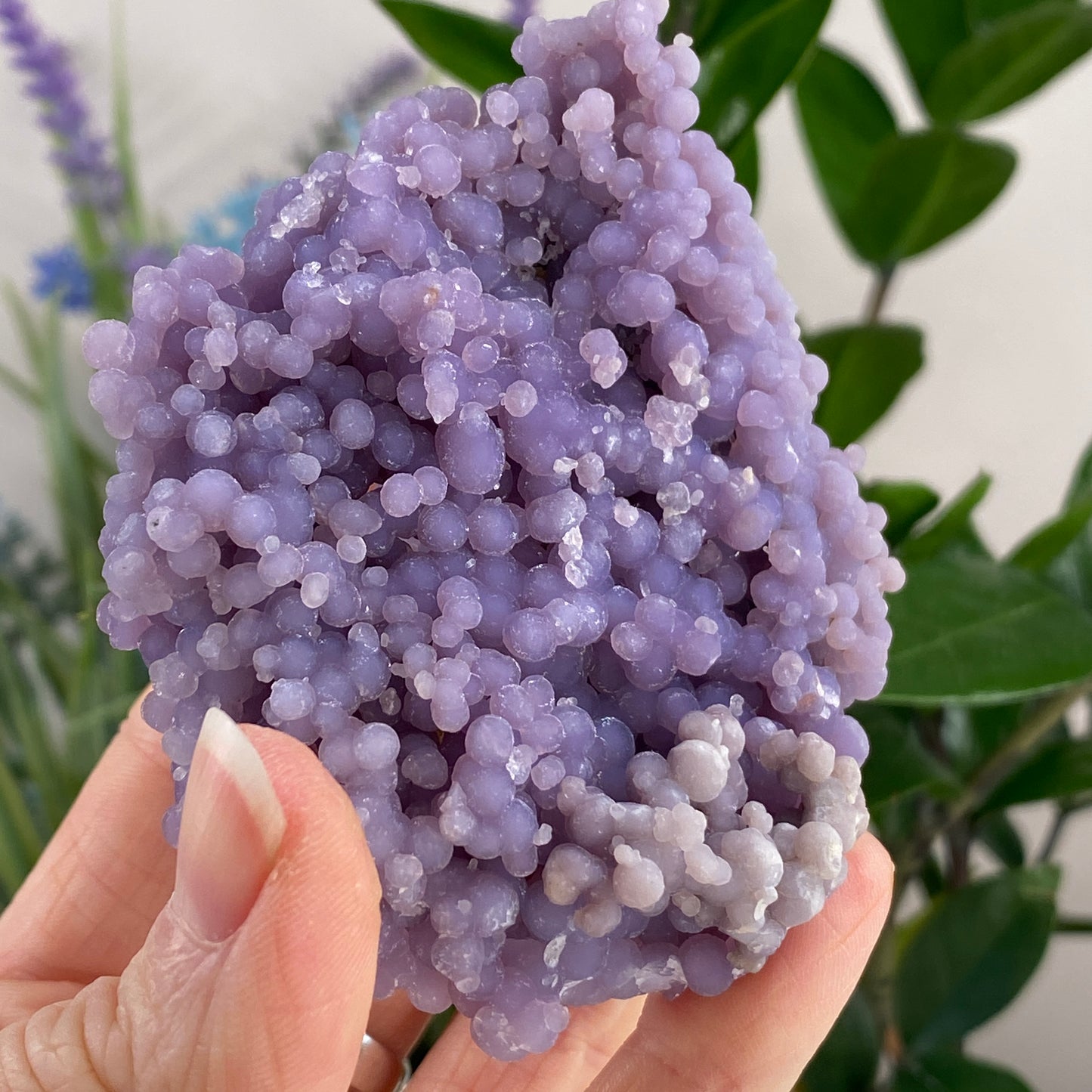 Grape Agate