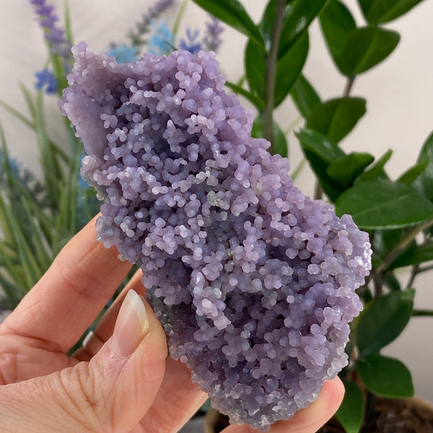 Grape Agate