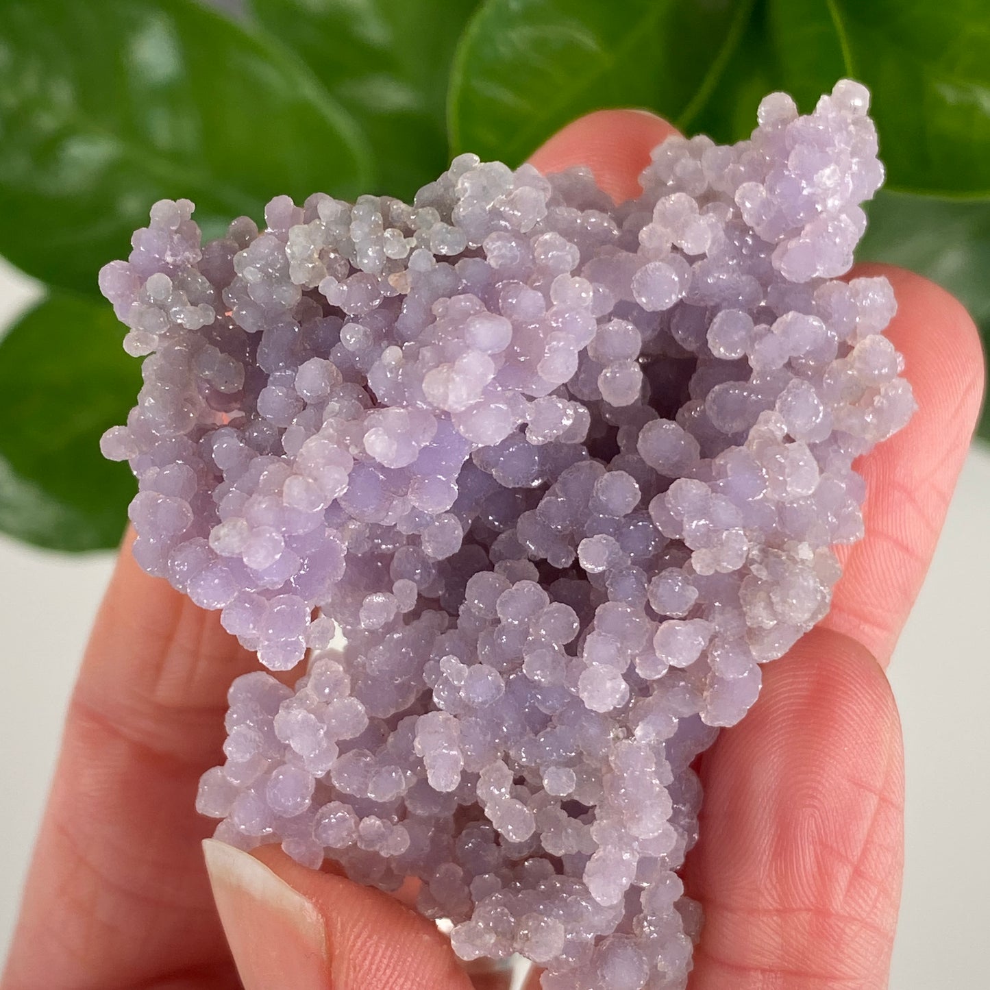 Grape Agate