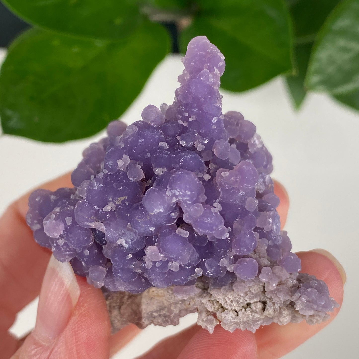 Grape Agate