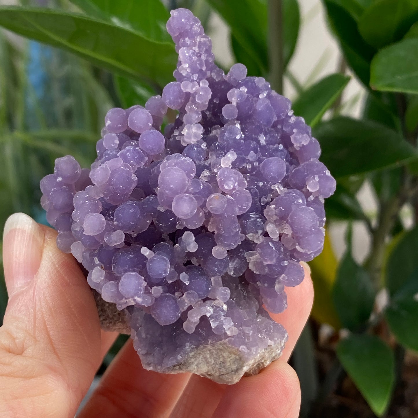 Grape Agate