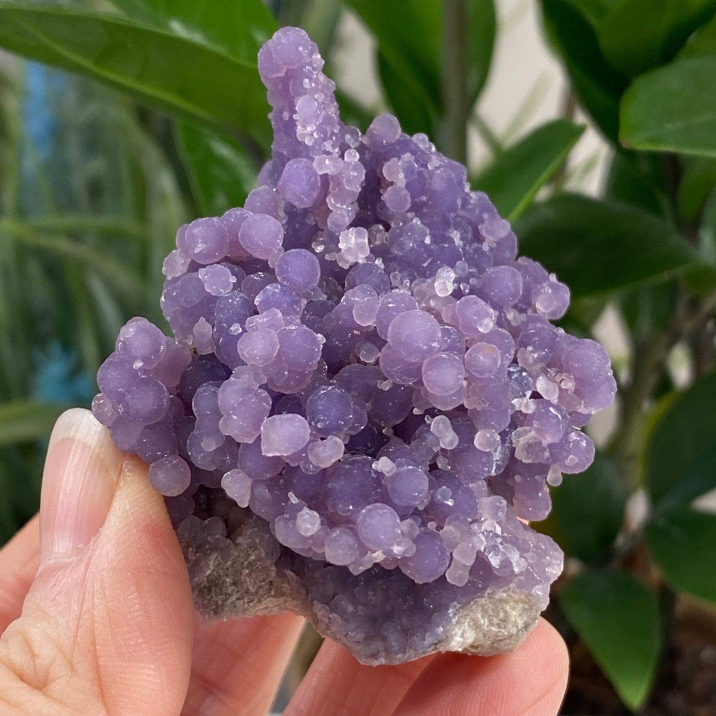 Grape Agate