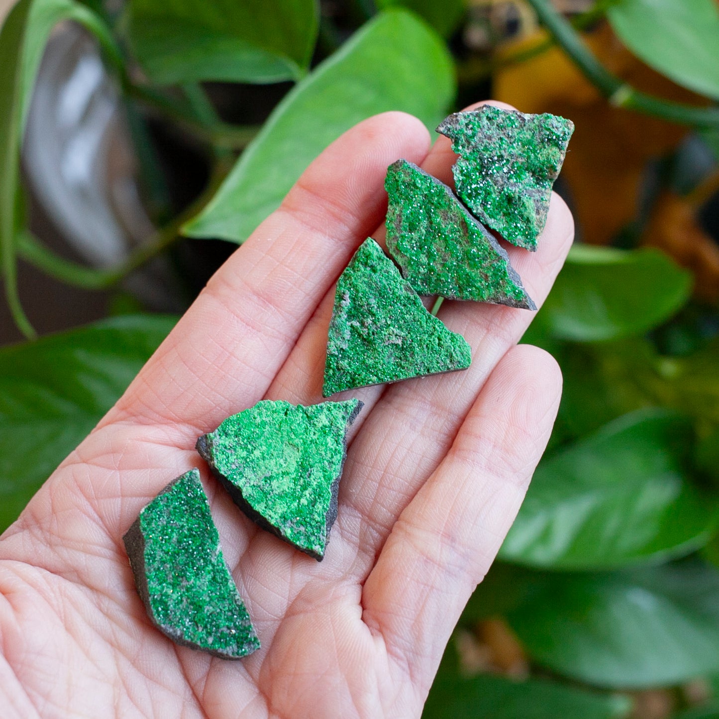 Uvarovite Specimen, Green Garnet