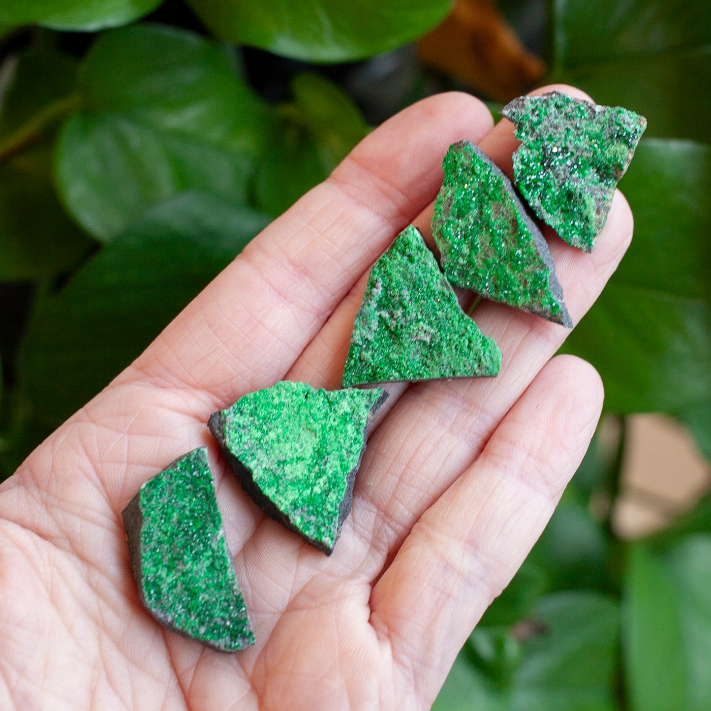 Uvarovite Specimen, Green Garnet