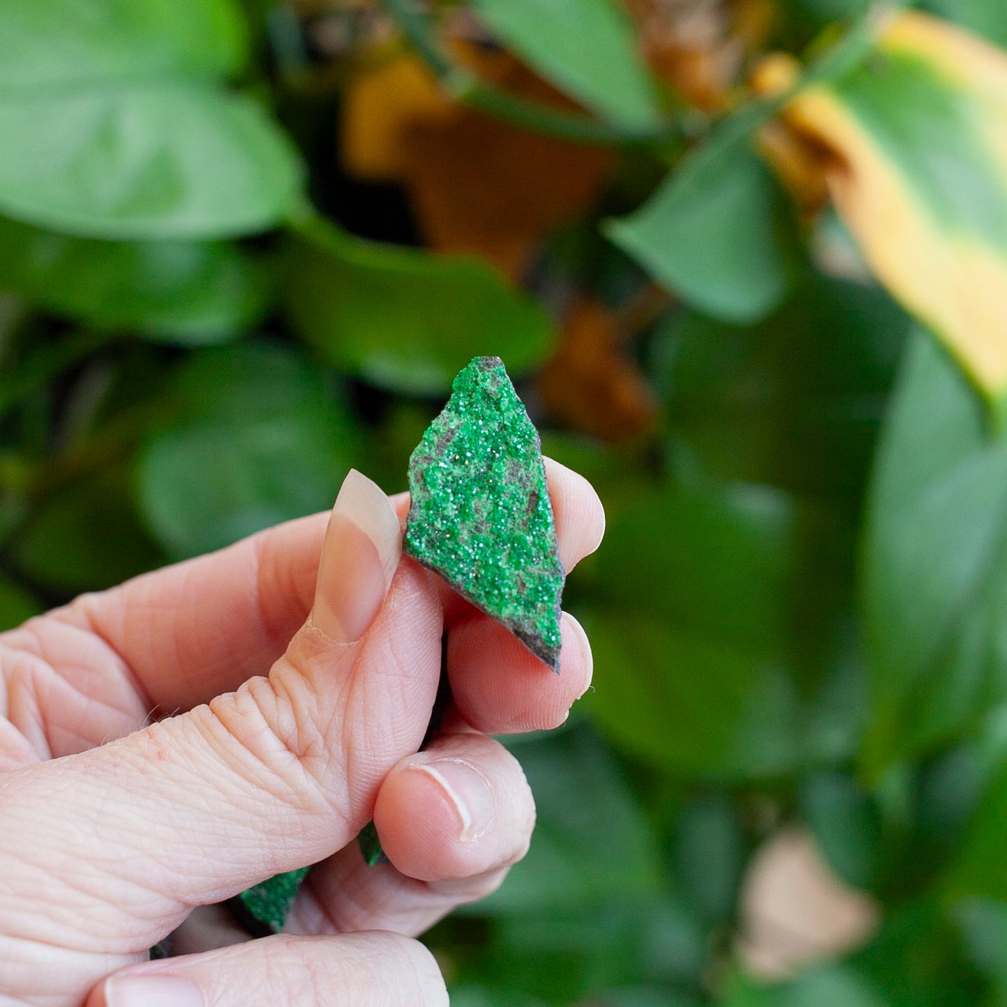 Uvarovite Specimen, Green Garnet