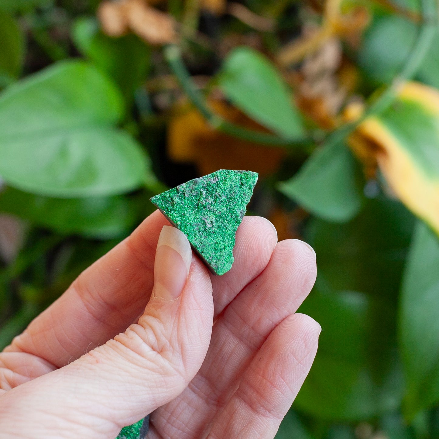 Uvarovite Specimen, Green Garnet