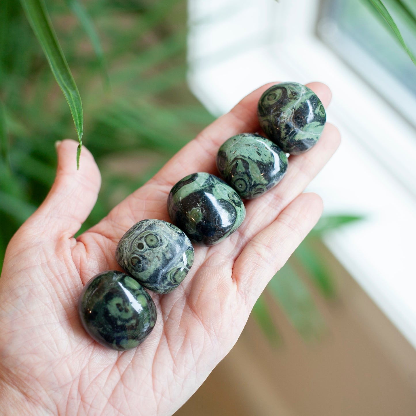Kambaba Jasper Tumbled Stone