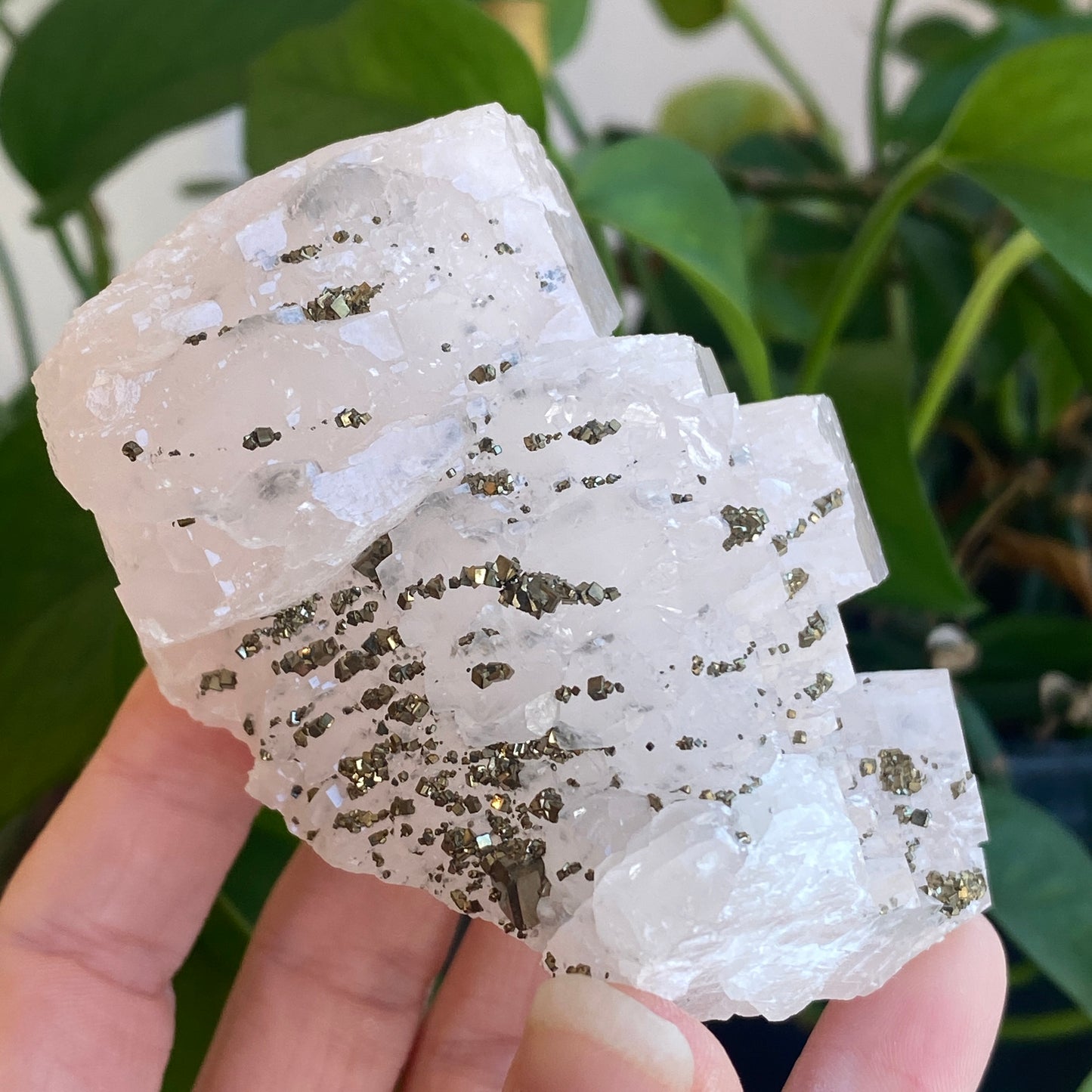 Pink Poker Chip Calcite with Pyrite, New Deposit, Hunan
