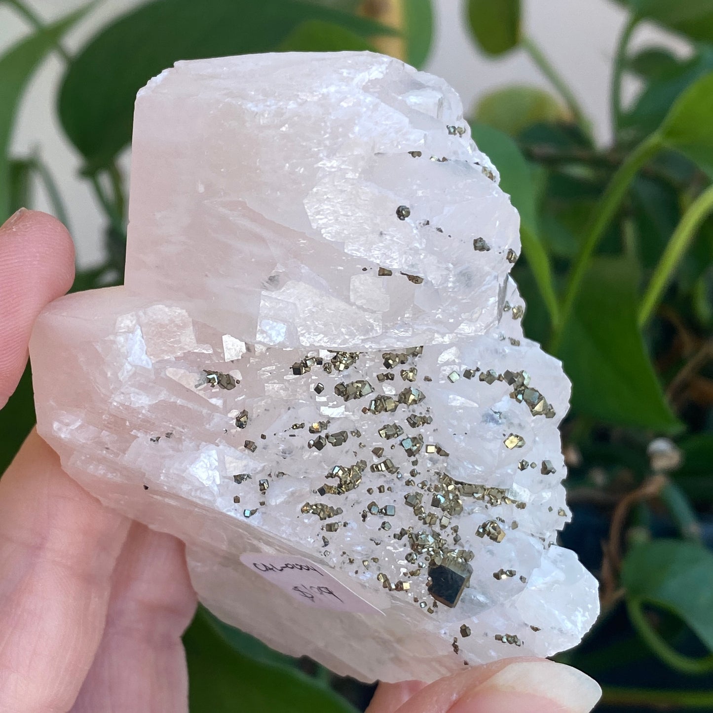 Pink Poker Chip Calcite with Pyrite, New Deposit, Hunan