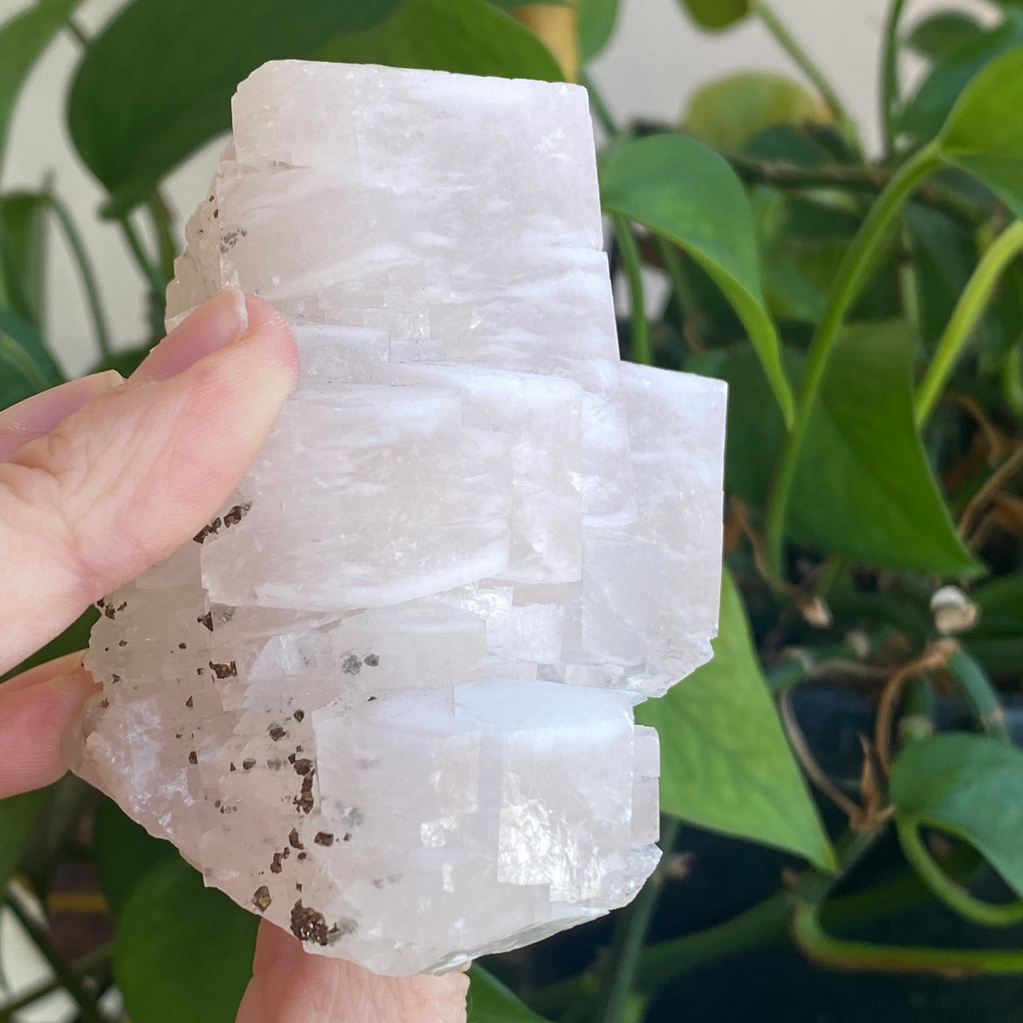 Pink Poker Chip Calcite with Pyrite, New Deposit, Hunan