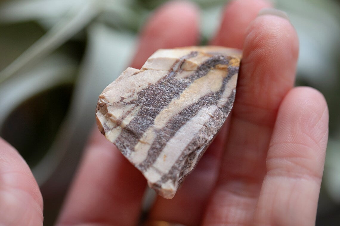 Rough Picture Jasper Stone