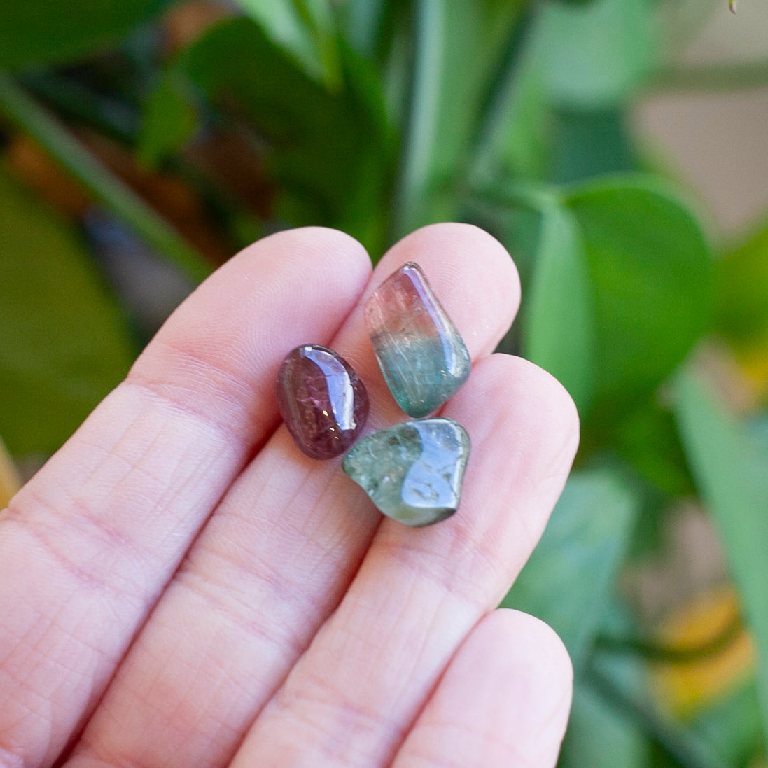 Watermelon Tourmaline Stones, 3 pieces