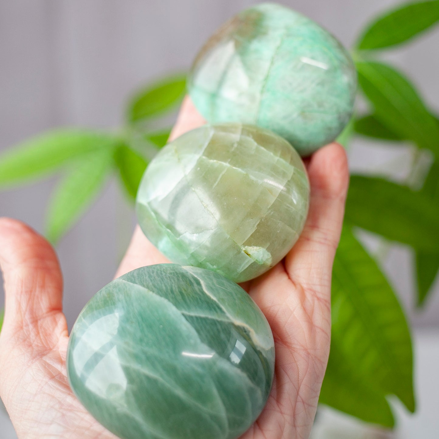 Garnierite Palm Stone (green moonstone)