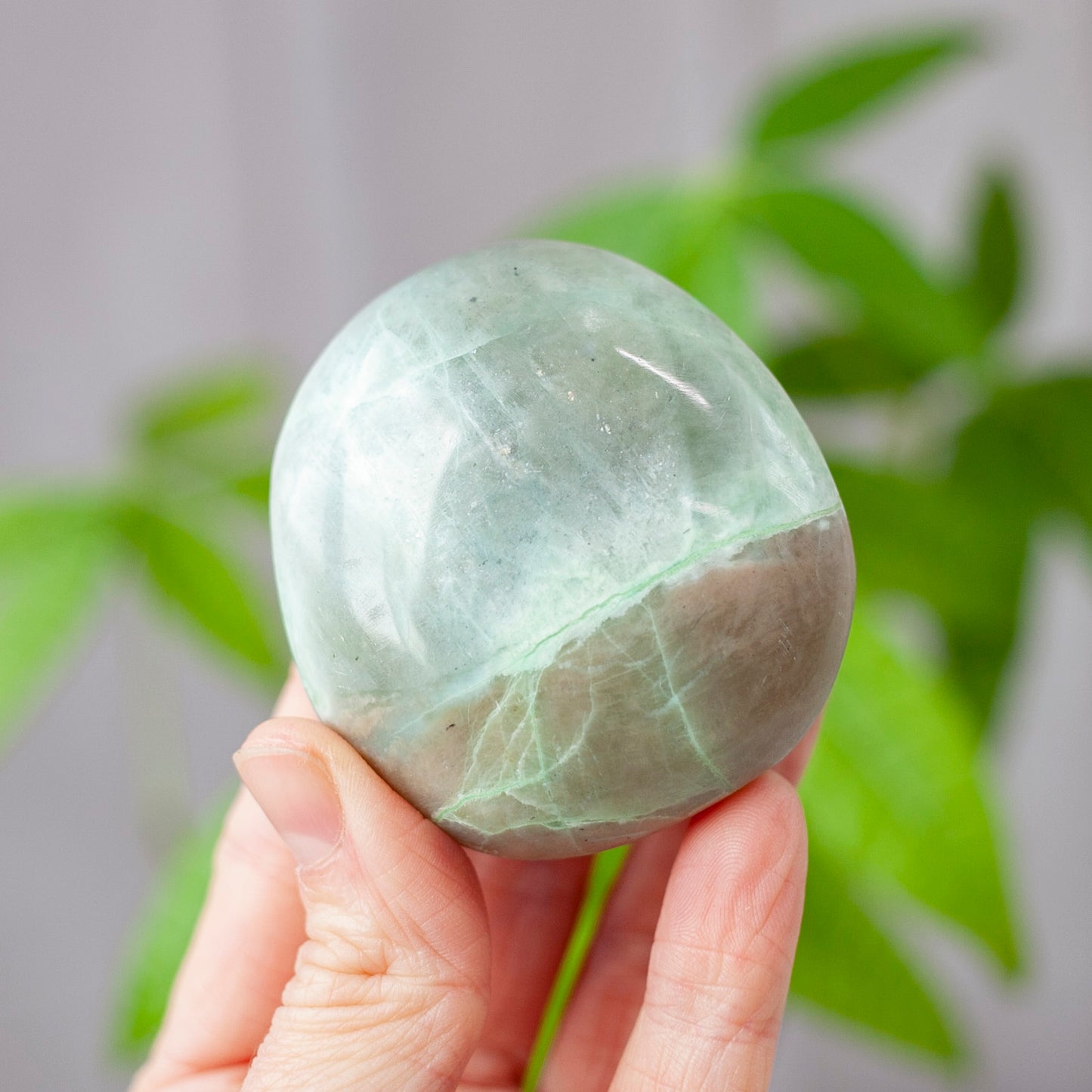 Garnierite Palm Stone (green moonstone)