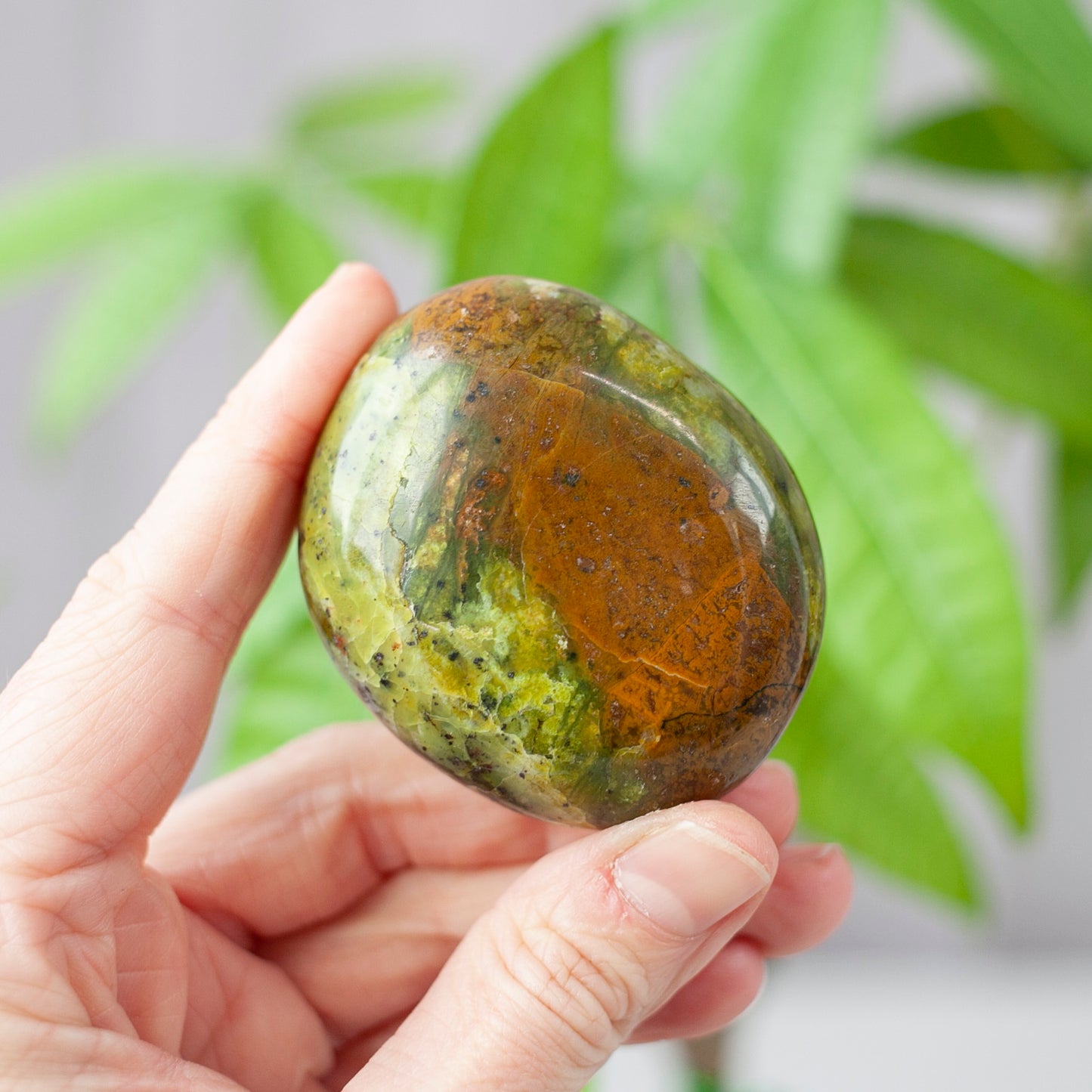 Green Opal Palm Stone
