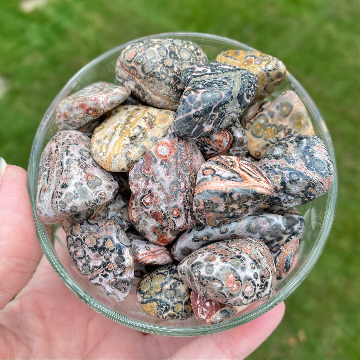 Leopard Skin Jasper Stone