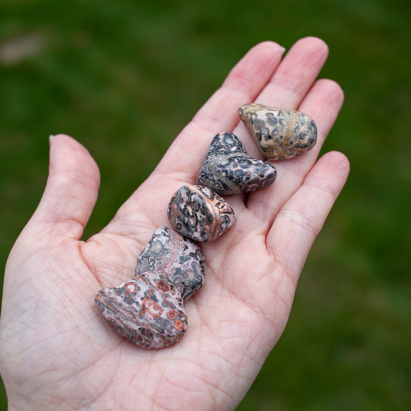 Leopard Skin Jasper Stone