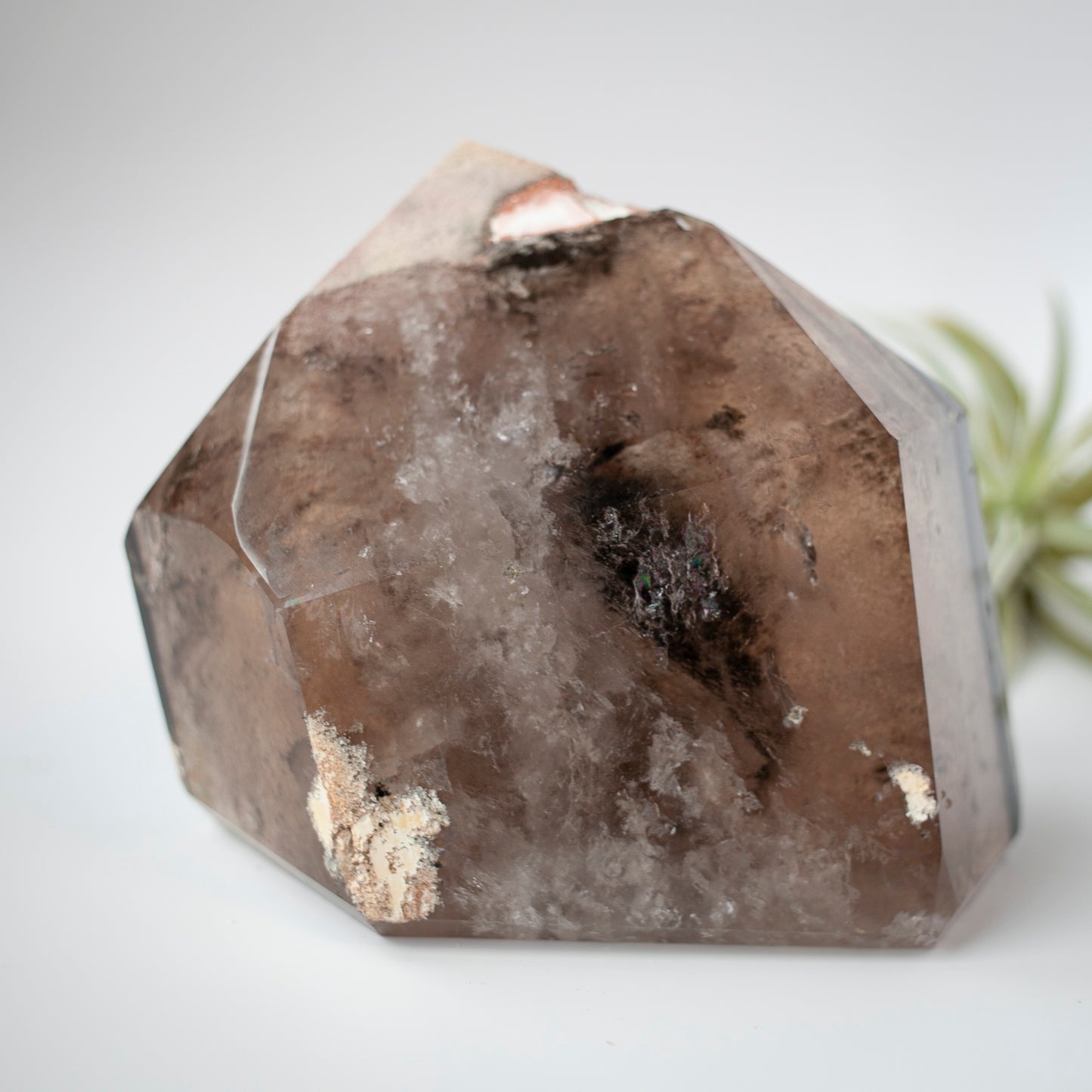 XL Smoky Quartz Lodolite Tower