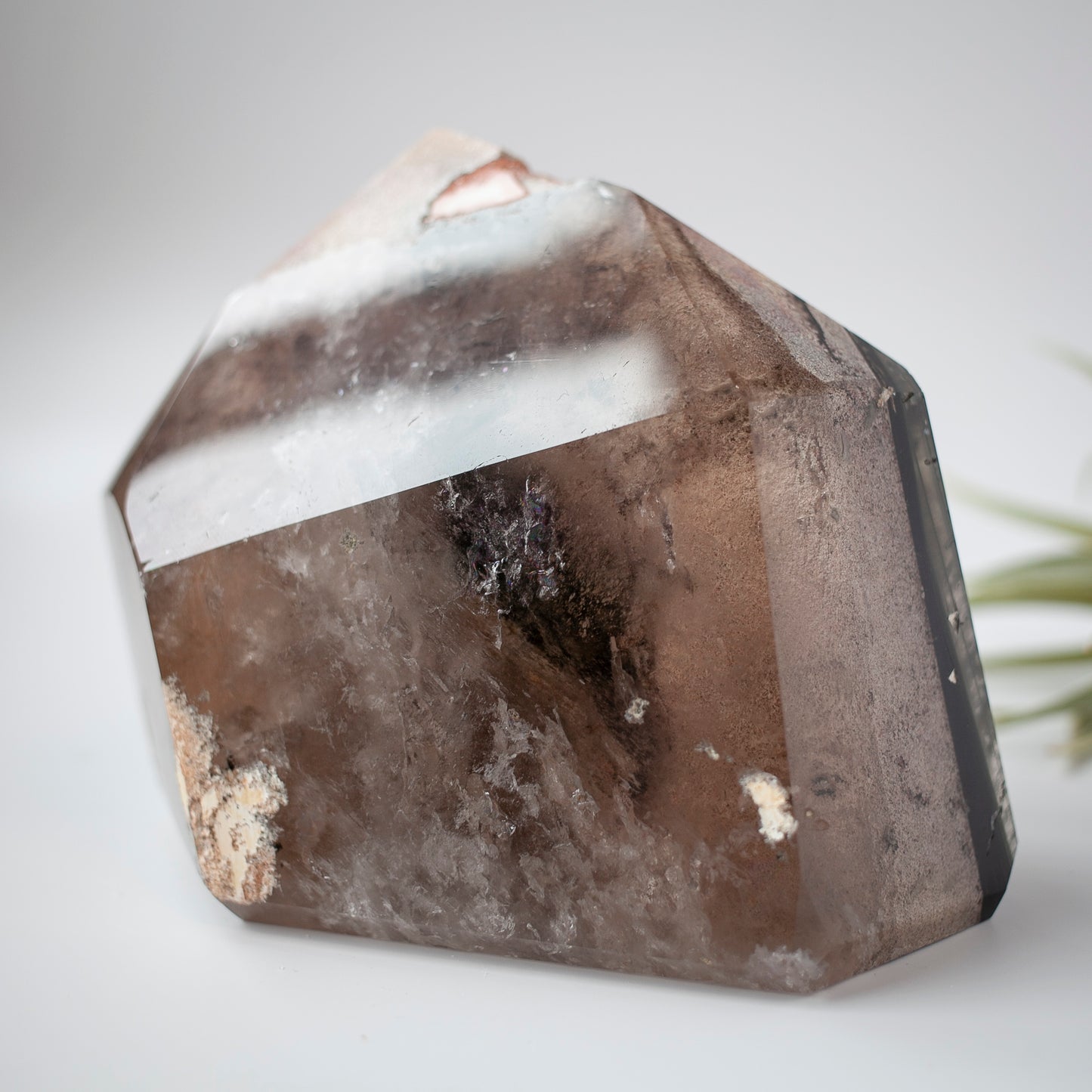 XL Smoky Quartz Lodolite Tower