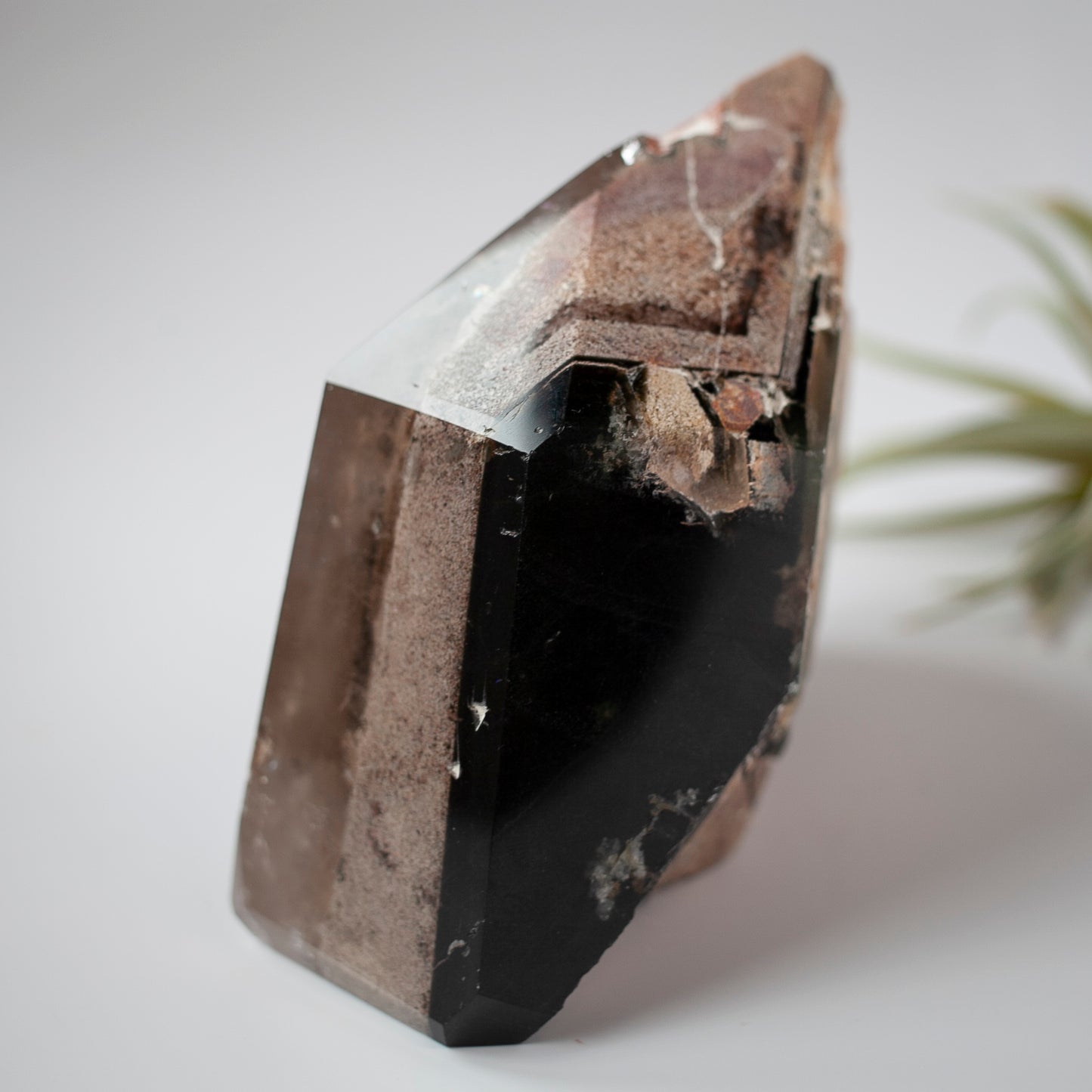 XL Smoky Quartz Lodolite Tower